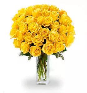 Three Dozen Yellow Roses