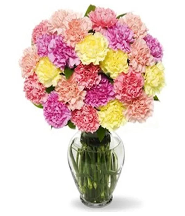 Two Dozen Carnations