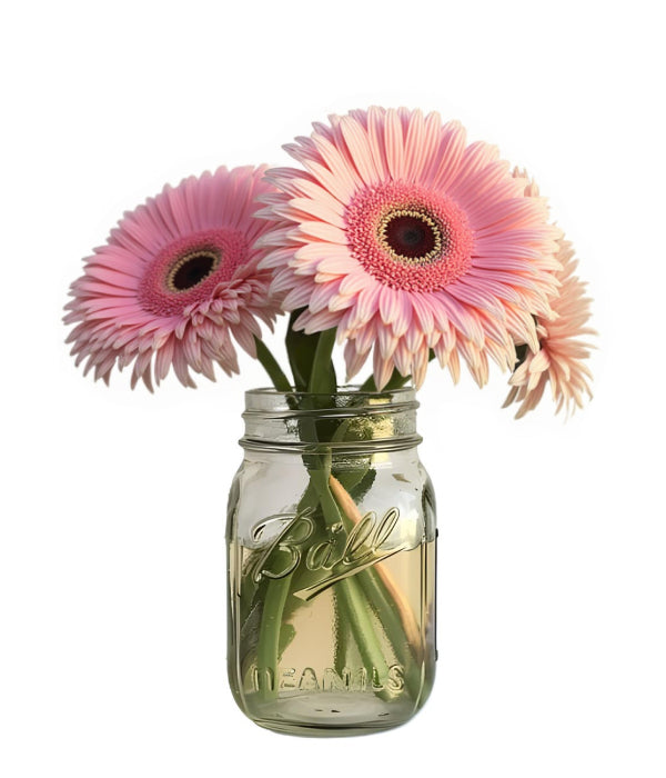 Pink Pop Gerbera Trio