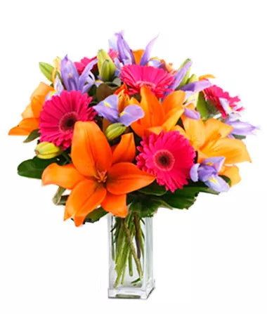 Summer Blooms