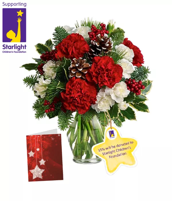 Starlight Holiday Wishes