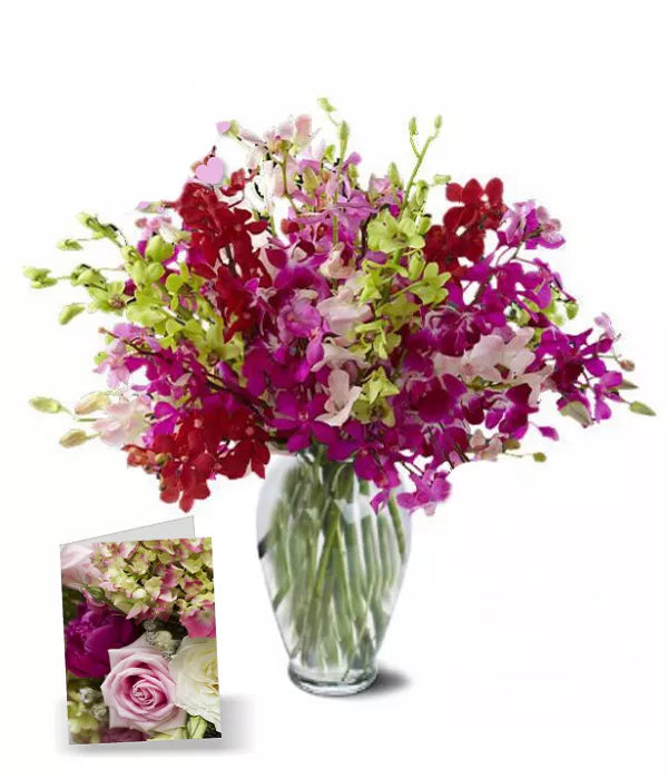 100 Blooms of Orchids I