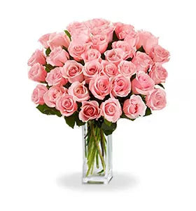 Three Dozen Stems Pink Roses