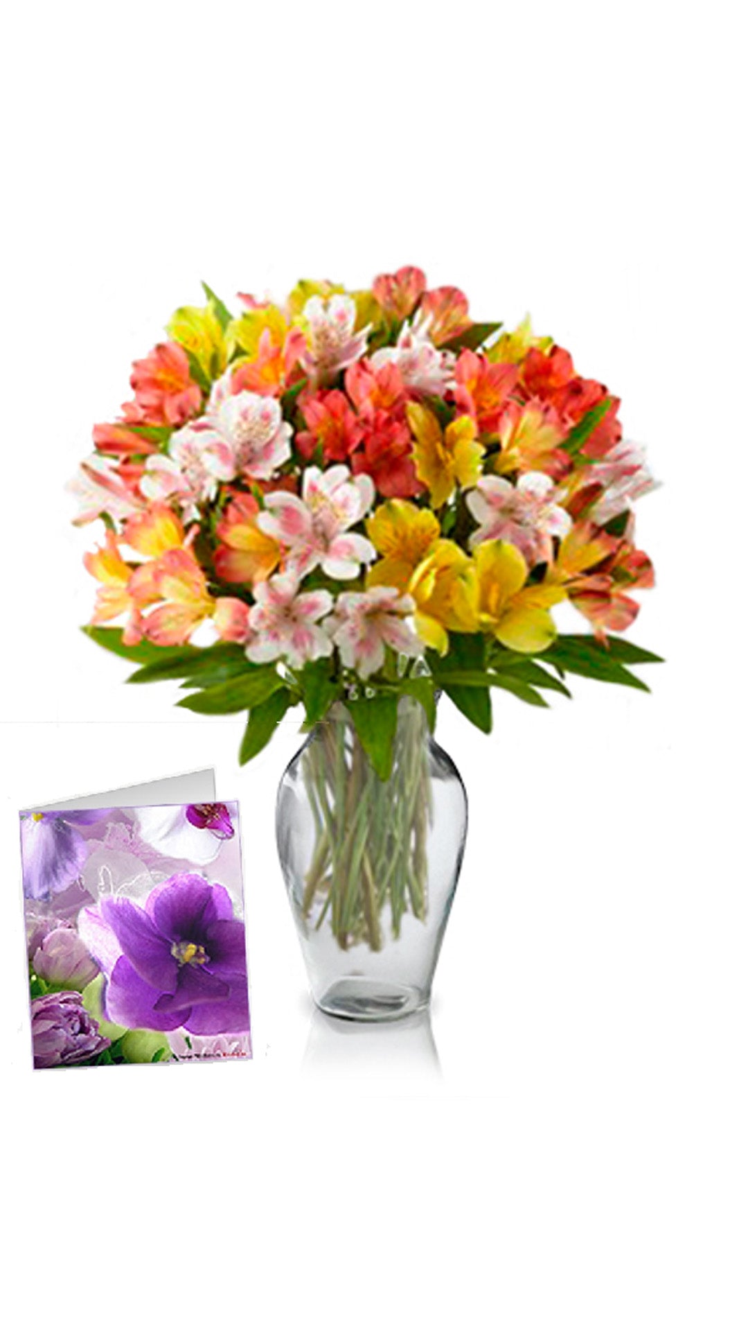 50 Blooms Of Alstromeria & Card
