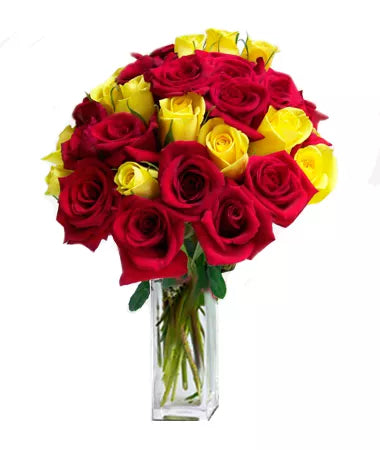 24 Red and Yellow Roses