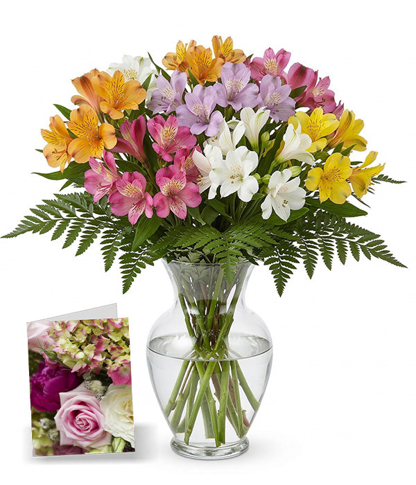 Peruvian Lilies Care Package