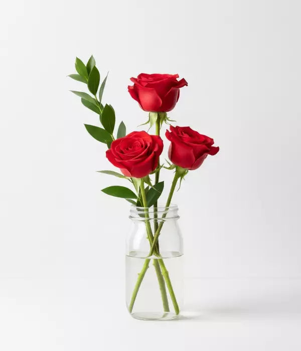Touch Of Red Roses